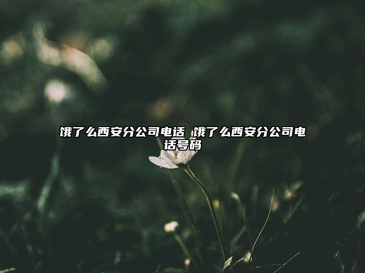 餓了么西安分公司電話 餓了么西安分公司電話號碼