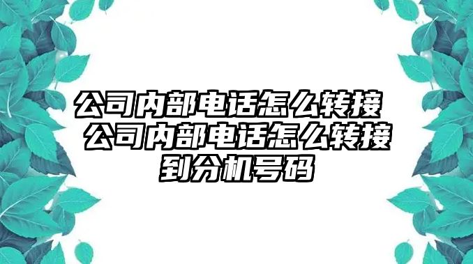 公司內部電話怎么轉接 公司內部電話怎么轉接到分機號碼