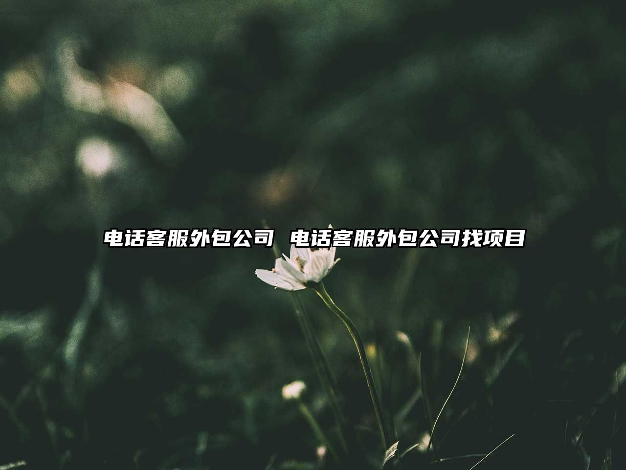 電話客服外包公司 電話客服外包公司找項(xiàng)目