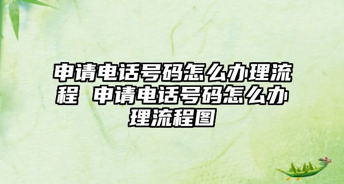 申請電話號碼怎么辦理流程 申請電話號碼怎么辦理流程圖
