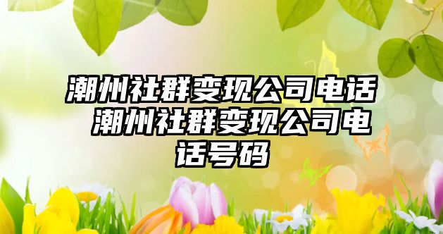 潮州社群變現(xiàn)公司電話 潮州社群變現(xiàn)公司電話號碼