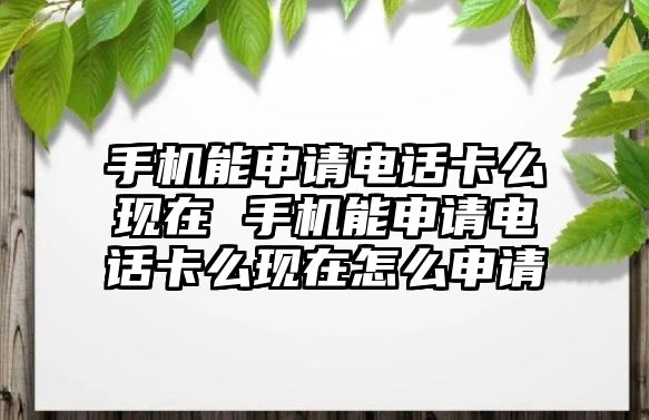 手機能申請電話卡么現在 手機能申請電話卡么現在怎么申請