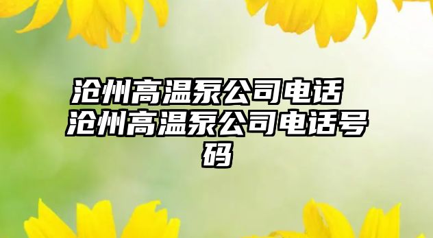 滄州高溫泵公司電話 滄州高溫泵公司電話號碼