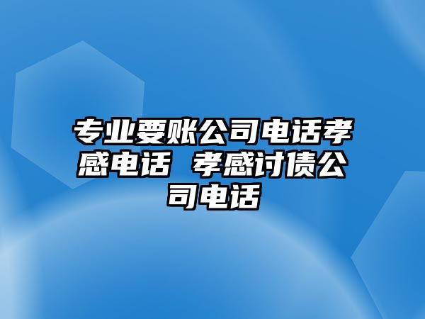 專業(yè)要賬公司電話孝感電話 孝感討債公司電話