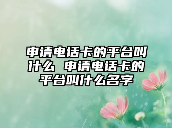 申請電話卡的平臺叫什么 申請電話卡的平臺叫什么名字
