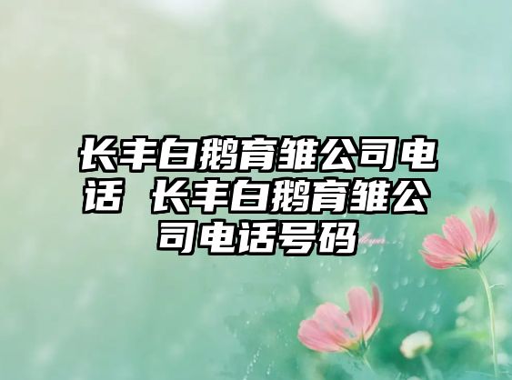 長(zhǎng)豐白鵝育雛公司電話 長(zhǎng)豐白鵝育雛公司電話號(hào)碼