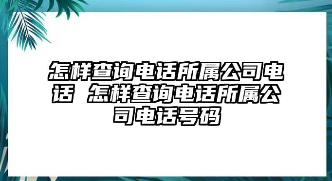 怎樣查詢電話所屬公司電話 怎樣查詢電話所屬公司電話號(hào)碼