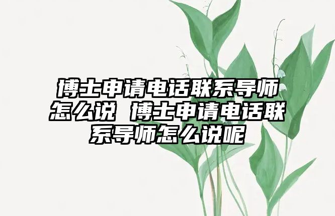 博士申請電話聯系導師怎么說 博士申請電話聯系導師怎么說呢