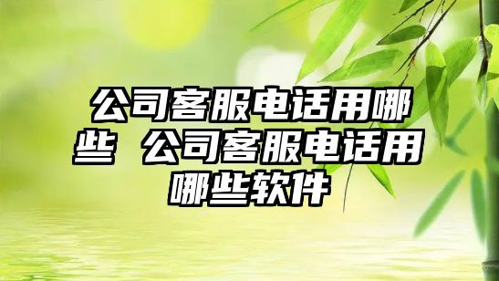 公司客服電話用哪些 公司客服電話用哪些軟件