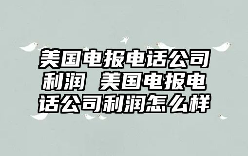 美國電報電話公司利潤 美國電報電話公司利潤怎么樣