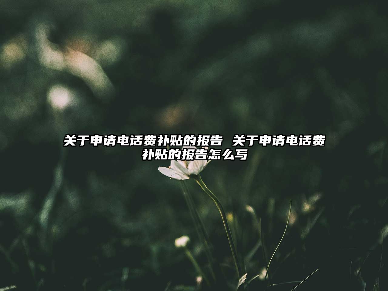 關于申請電話費補貼的報告 關于申請電話費補貼的報告怎么寫