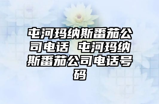 屯河瑪納斯番茄公司電話 屯河瑪納斯番茄公司電話號碼