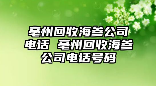 亳州回收海參公司電話 亳州回收海參公司電話號碼