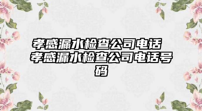 孝感漏水檢查公司電話 孝感漏水檢查公司電話號碼