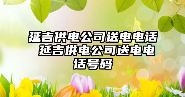 延吉供電公司送電電話 延吉供電公司送電電話號碼