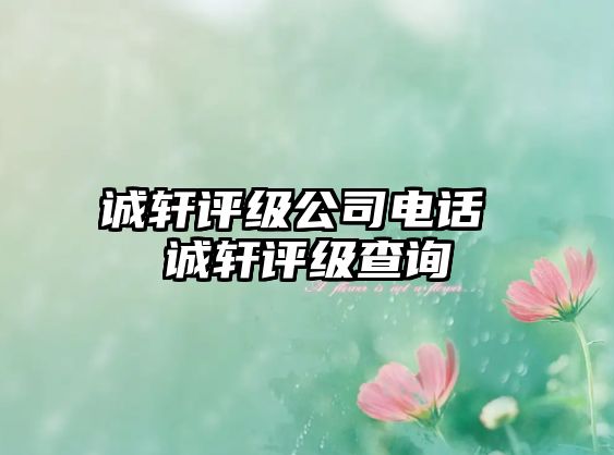 誠軒評(píng)級(jí)公司電話 誠軒評(píng)級(jí)查詢
