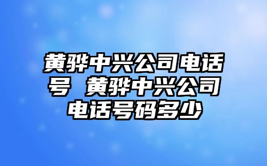 黃驊中興公司電話號 黃驊中興公司電話號碼多少