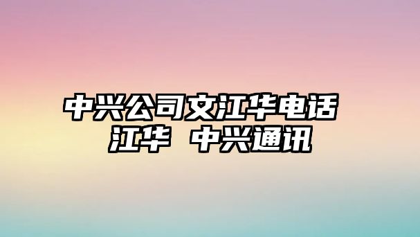 中興公司文江華電話 江華 中興通訊