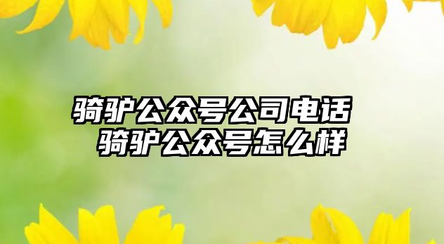 騎驢公眾號公司電話 騎驢公眾號怎么樣