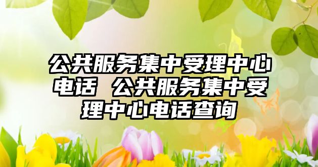 公共服務集中受理中心電話 公共服務集中受理中心電話查詢