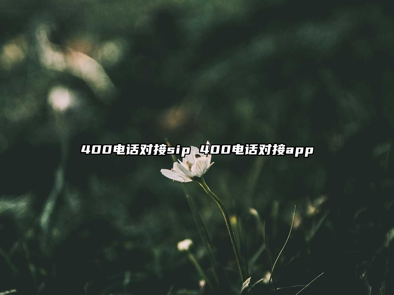 400電話對接sip 400電話對接app