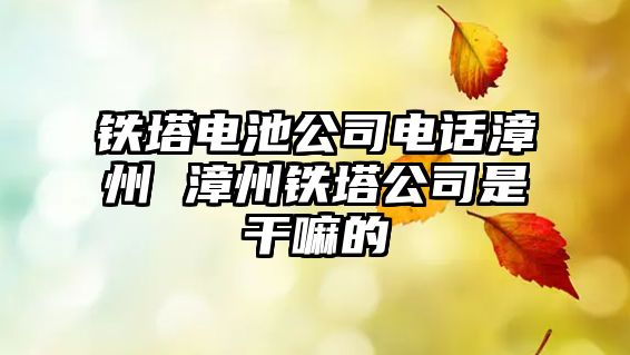 鐵塔電池公司電話漳州 漳州鐵塔公司是干嘛的