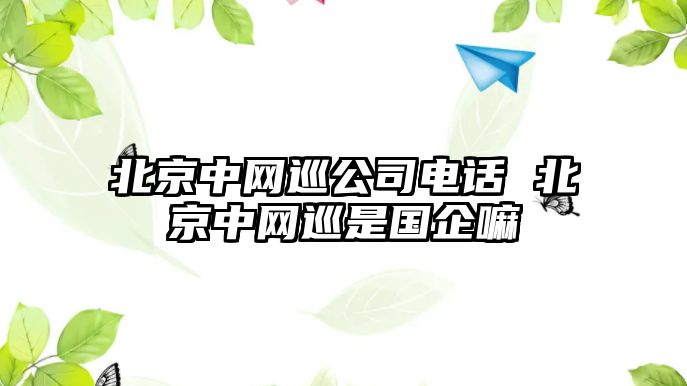 北京中網巡公司電話 北京中網巡是國企嘛