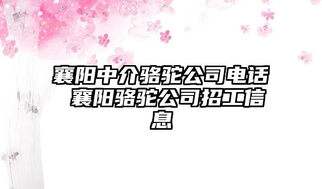 襄陽中介駱駝公司電話 襄陽駱駝公司招工信息