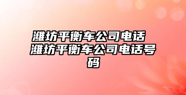 濰坊平衡車公司電話 濰坊平衡車公司電話號碼