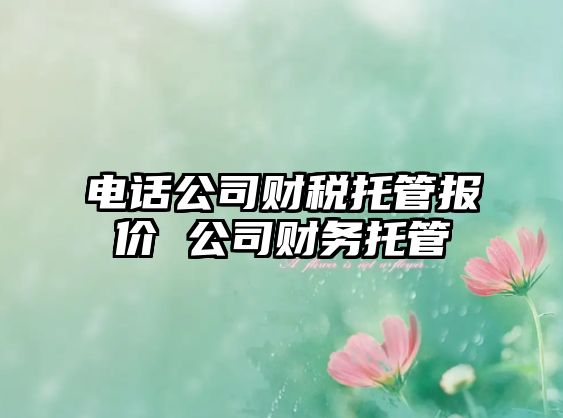 電話公司財稅托管報價 公司財務托管